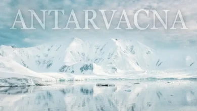 Antarvacna