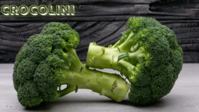 Crocolini