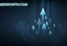 incabizgrowth.com